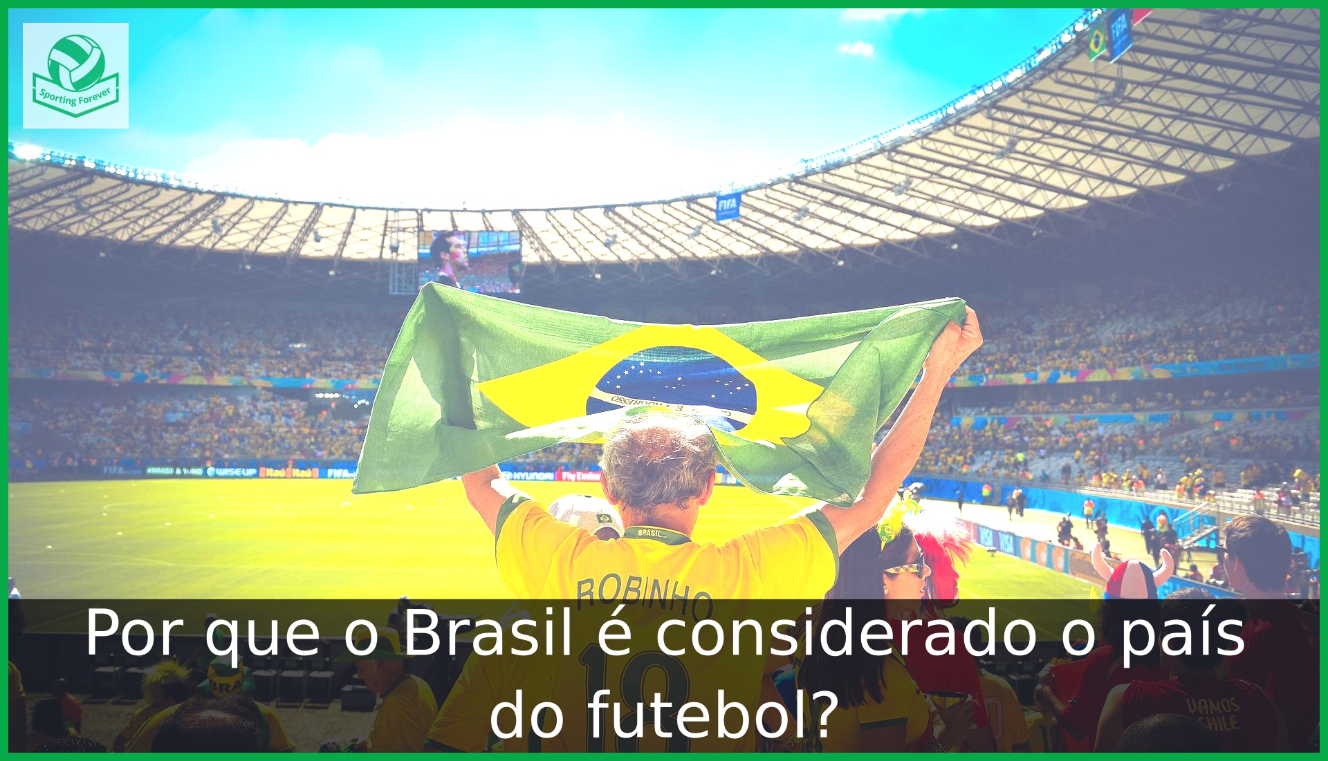 Torcedor levantando a bandeira do Brasil, o país do futebol