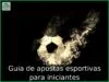 Guia de apostas esportivas para iniciantes