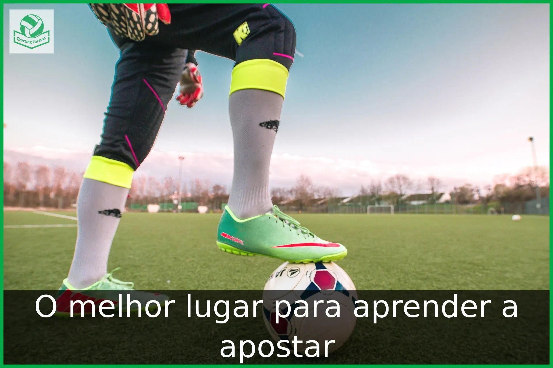 O melhor lugar para aprender a apostar O melhor lugar para aprender a apostar