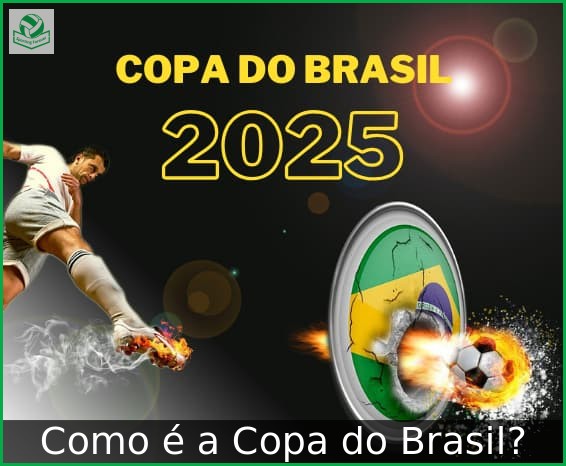 Como é a Copa do Brasil?