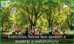 Exercícios físicos que ajudam a acelerar o metabolismo